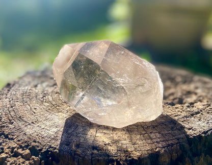Smokey Citrine Pleiadian Starbray | Lemurian Seed Quartz Point | Smoky Citrine | Manifestation & Inner Child Crystal | Brazil – 358g