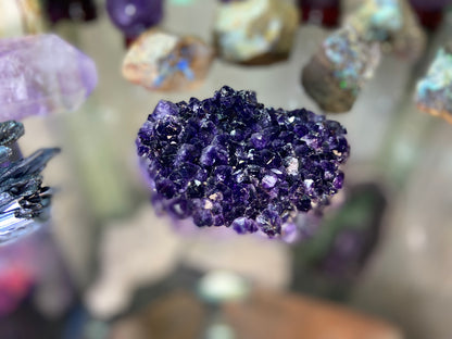 Amethyst Pineapple Cluster X Grade