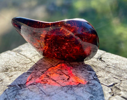 Rare Red Fire Baltic Amber with Ancient Organic Inclusions: Collector's Gem