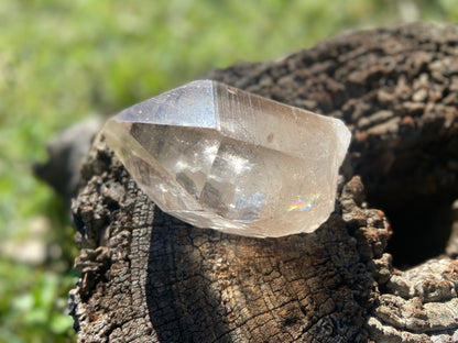 Smokey Citrine Pleiadian Starbray | Lemurian Seed Quartz Point | Smoky Citrine | Manifestation & Inner Child Crystal | Brazil – 358g
