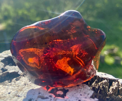 Rare Red Fire Baltic Amber with Ancient Organic Inclusions: Collector's Gem