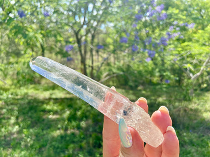 Elite Lemurian Seed Quartz Crystal | Ancient Wisdom | Record Keepers |Phantasmagoric Rainbow |120 Grams