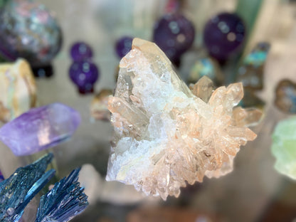 Golden Healer Lemurian Seed Cluster AAA+ Grade