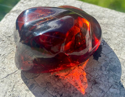 Rare Red Fire Baltic Amber with Ancient Organic Inclusions: Collector's Gem