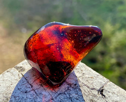 Rare Red Fire Baltic Amber with Ancient Organic Inclusions: Collector's Gem