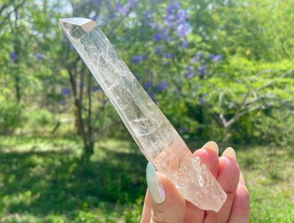 Elite Lemurian Seed Quartz Crystal | Ancient Wisdom | Record Keepers |Phantasmagoric Rainbow |120 Grams