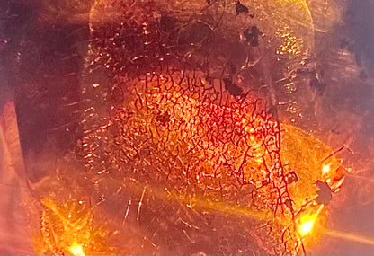 Rare Red Fire Baltic Amber with Ancient Organic Inclusions: Collector's Gem