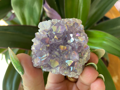 Pearl Amethyst Angel Aura Quartz Cluster Standing