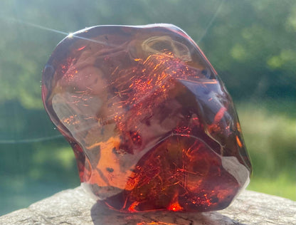 Rare Red Fire Baltic Amber with Ancient Organic Inclusions: Collector's Gem