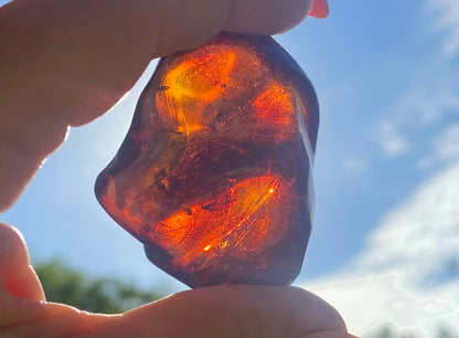 Rare Red Fire Baltic Amber with Ancient Organic Inclusions: Collector's Gem