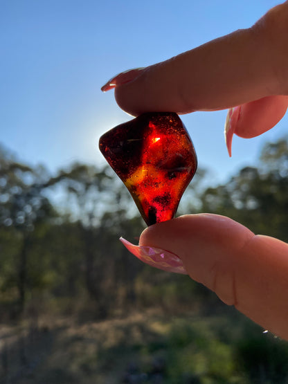 Rare Red Fire Baltic Amber with Ancient Organic Inclusions: Collector's Gem