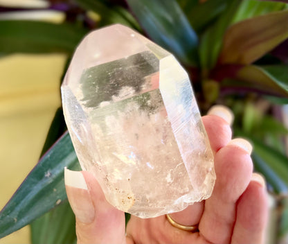 Lodolite Lemurian Inclusion Quartz With IsIs Window