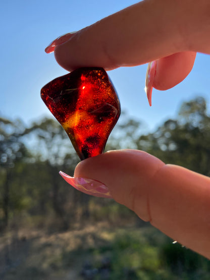 Rare Red Fire Baltic Amber with Ancient Organic Inclusions: Collector's Gem