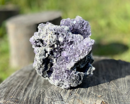 Transparent Tanzanite Fluorite on Druzy Quartz | Fujian, China | Glassy ‘Tanzanite’ Fluorite Cluster | Collector’s Specimen