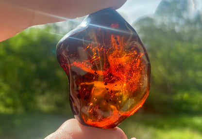 Rare Red Fire Baltic Amber with Ancient Organic Inclusions: Collector's Gem