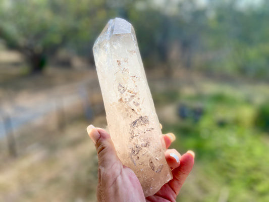 IsIs Pleiadian Starbrary Double Terminated Elite Lemurian Seed Quartz With A Touch Of Tangerine Quartz 759 Grams