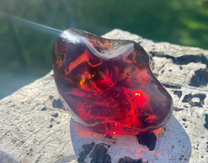 Rare Red Fire Baltic Amber with Ancient Organic Inclusions: Collector's Gem