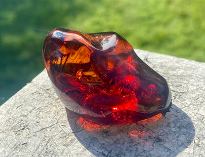 Rare Red Fire Baltic Amber with Ancient Organic Inclusions: Collector's Gem