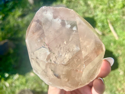 Smokey Citrine Pleiadian Starbray | Lemurian Seed Quartz Point | Smoky Citrine | Manifestation & Inner Child Crystal | Brazil – 358g
