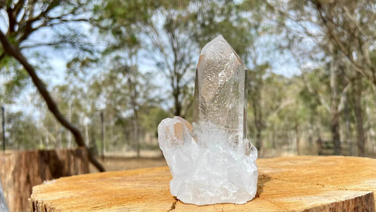 Pleiadian Starbary Record Keeper Quartz Natural Point Time Keeper with Rainbows