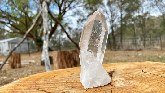 Pleiadian Starbary Record Keeper Quartz Natural Point Time Keeper Standing