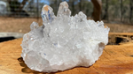 Lemurian Seed Record Keeper Quartz Cluster