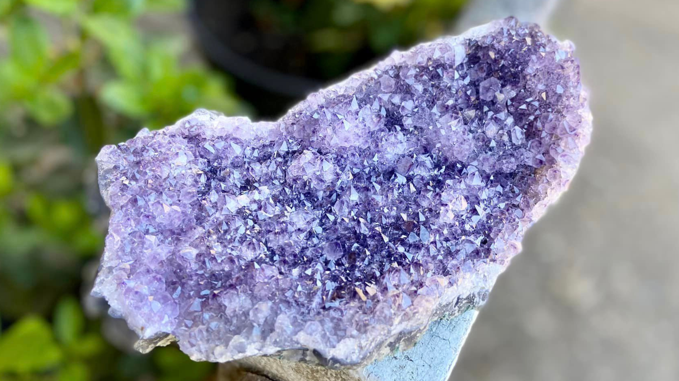 Amethyst Cluster