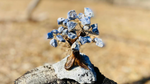 Sodalite Bonsai Tree