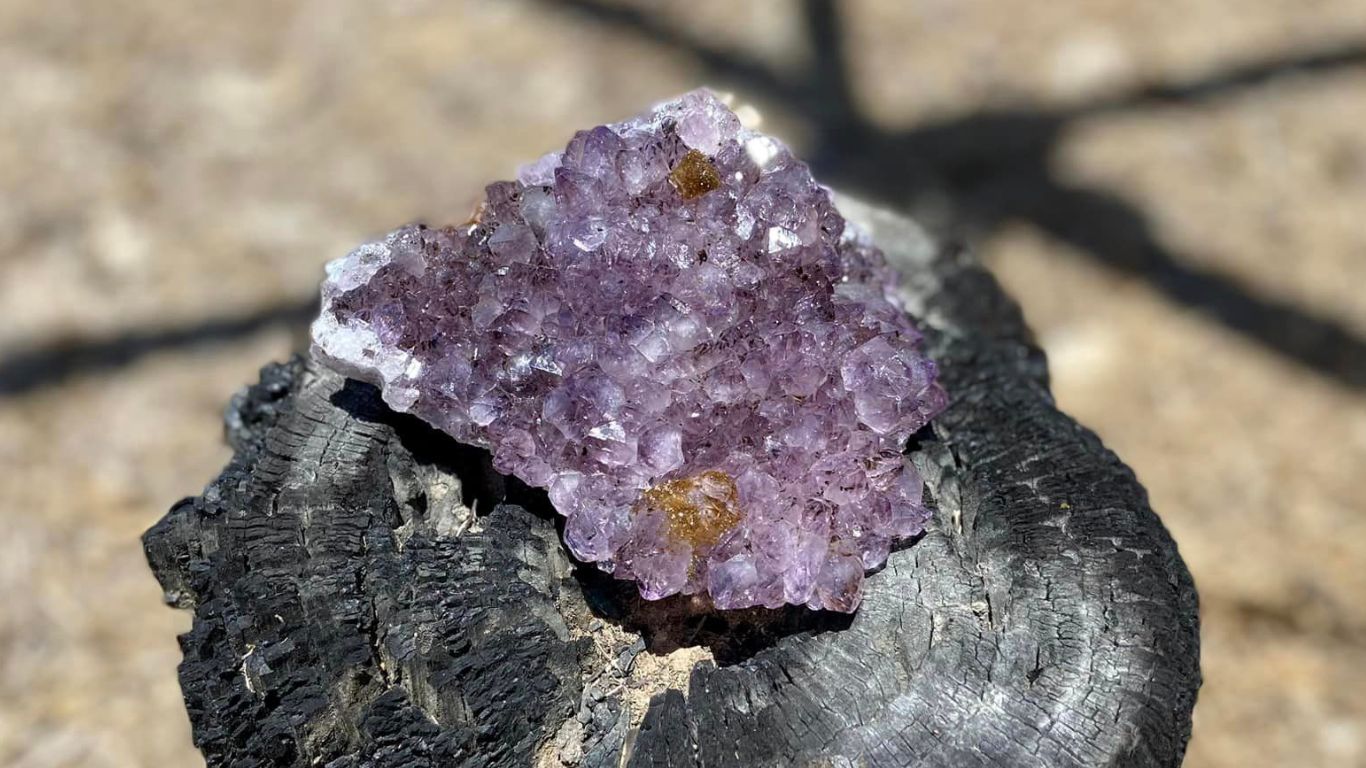 Amethyst Cluster