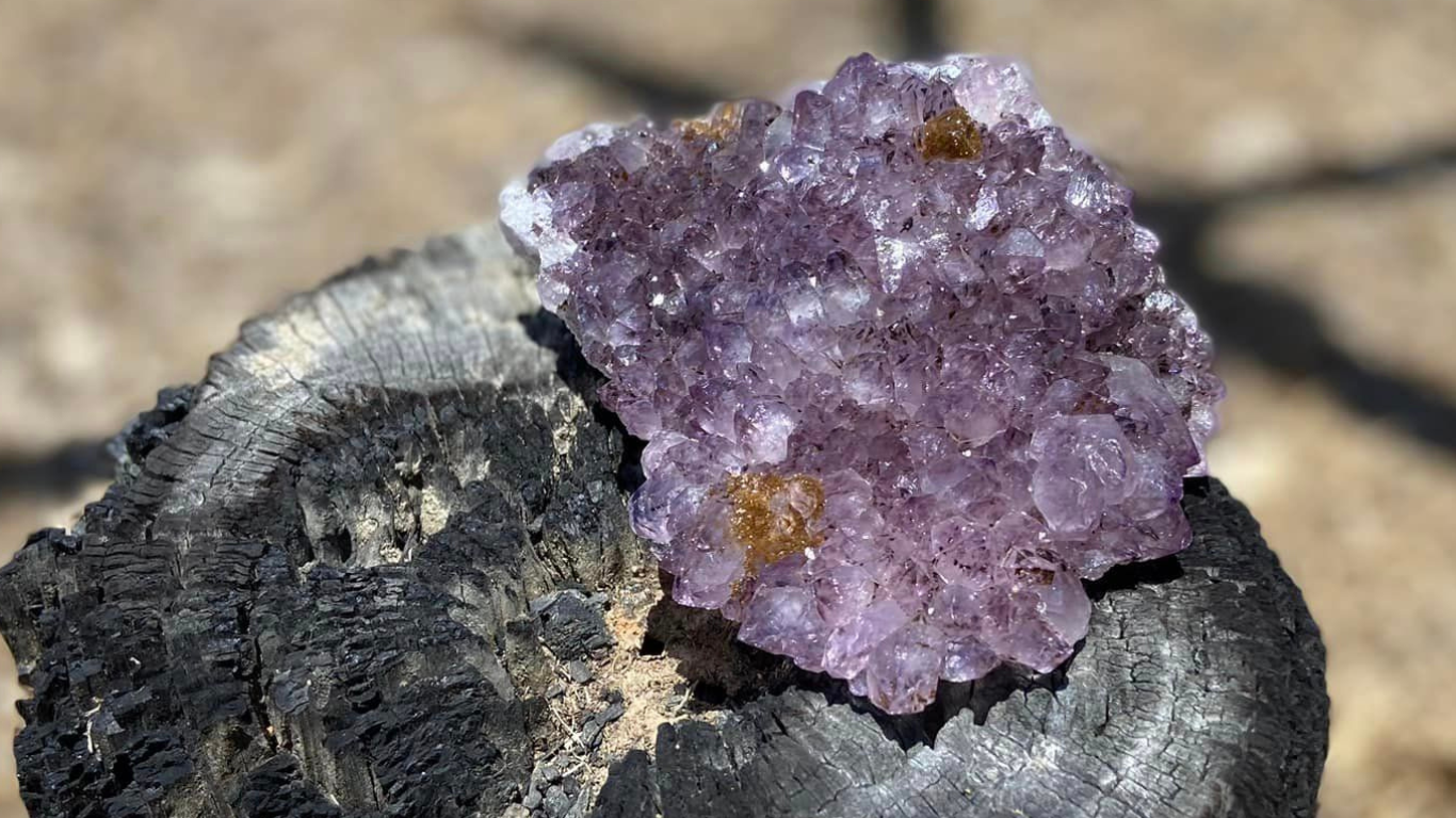 Amethyst Cluster