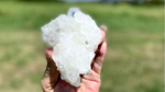 Apophyllite Cluster