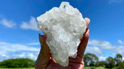 Apophyllite Cluster