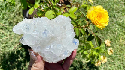 Apophyllite Cluster