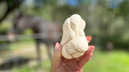 Fairy Stone