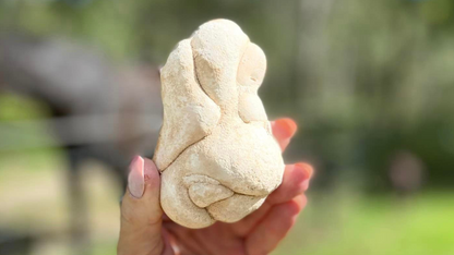 Fairy Stone