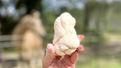Fairy Stone