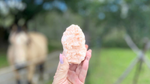 Apophyllite Crystal with Peach Stilbite Cluster