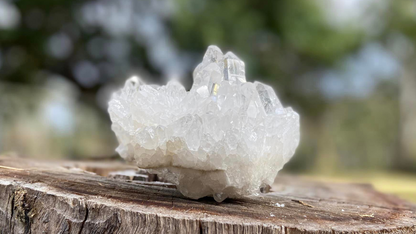 Lemurian Seed Cluster with Rainbows and Record Keepers