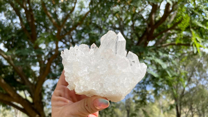 Lemurian Seed Cluster with Rainbows and Record Keepers
