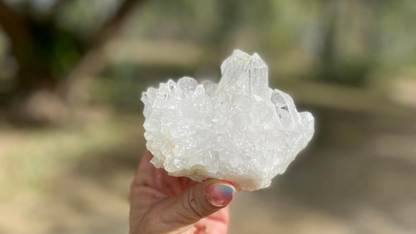 Lemurian Seed Cluster with Rainbows and Record Keepers