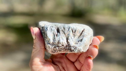 Seraphinite Raw