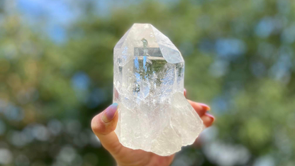 Lemurian Seed Natural Point Quartz Timekeeper with Bridge and Rainbows