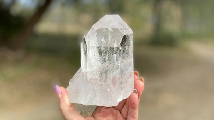 Lemurian Seed Natural Point Quartz Timekeeper with Bridge and Rainbows
