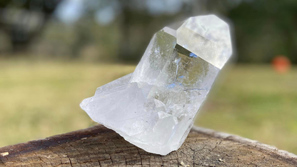 Lemurian Seed Natural Point Quartz Timekeeper with Bridge and Rainbows