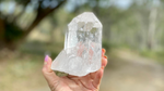 Lemurian Seed Natural Point Quartz Timekeeper with Bridge and Rainbows