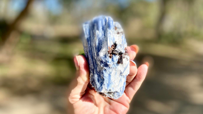 Blue Kyanite Blade Cluster with Black Tourmaline and a touch of Quartz