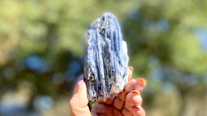 Blue Kyanite Blade Cluster with Black Tourmaline and a touch of Quartz