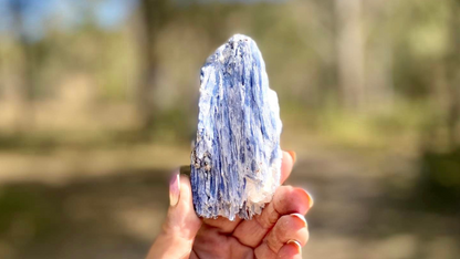 Blue Kyanite Blade Cluster with Black Tourmaline and a touch of Quartz