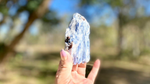 Blue Kyanite Blade Cluster with Black Tourmaline and a touch of Quartz