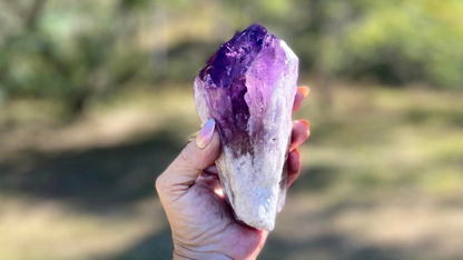Dragon Tooth Amethyst and Ametrine Quartz Phantom Natural Point